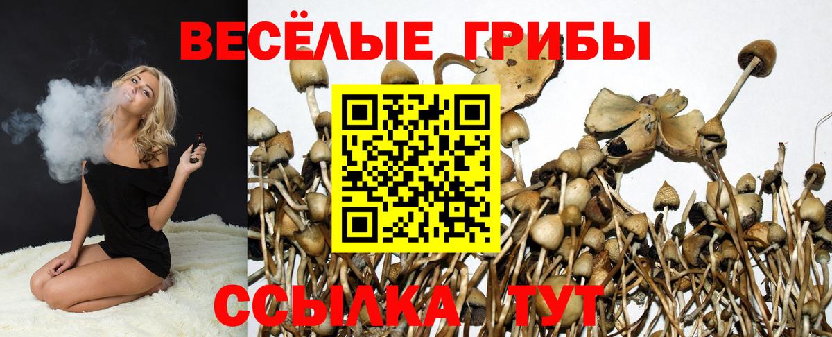 Псилоцибиновые грибы мухоморы Туймазы
