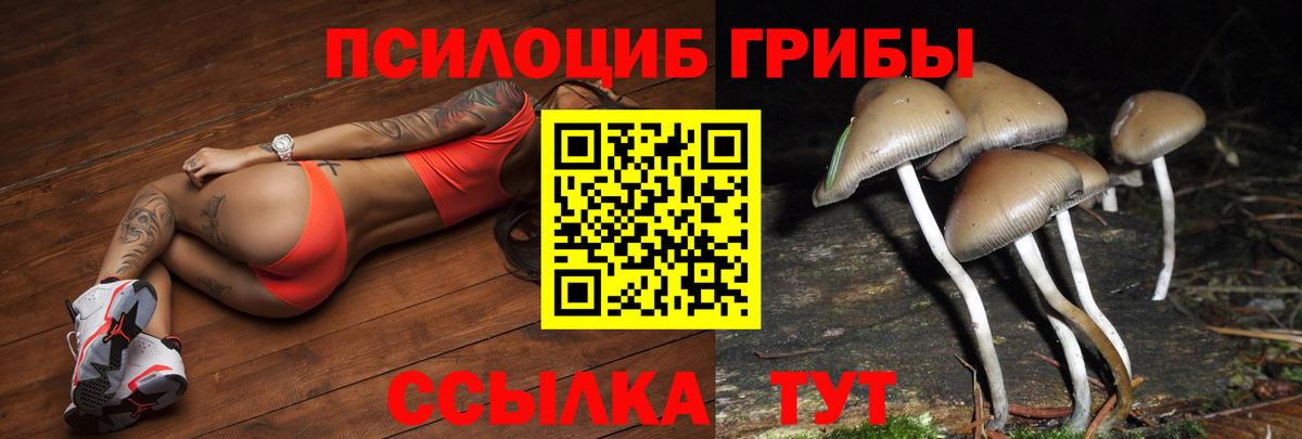 Псилоцибиновые грибы ЛСД  Псилоцибиновые грибы мухоморы  Туймазы  Вход с VPN 